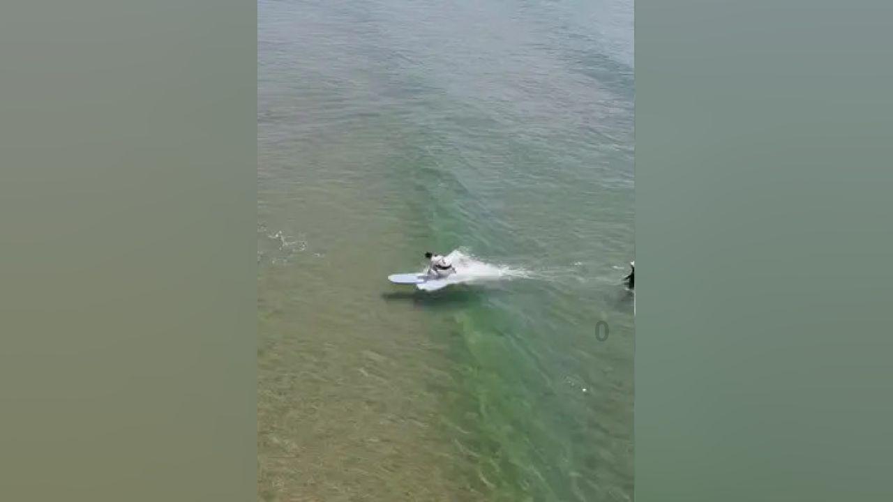 姐弟坠亡案两凶手被执行死刑，孩子生母得知后痛哭：会告诉孩子，妈妈会好好生活